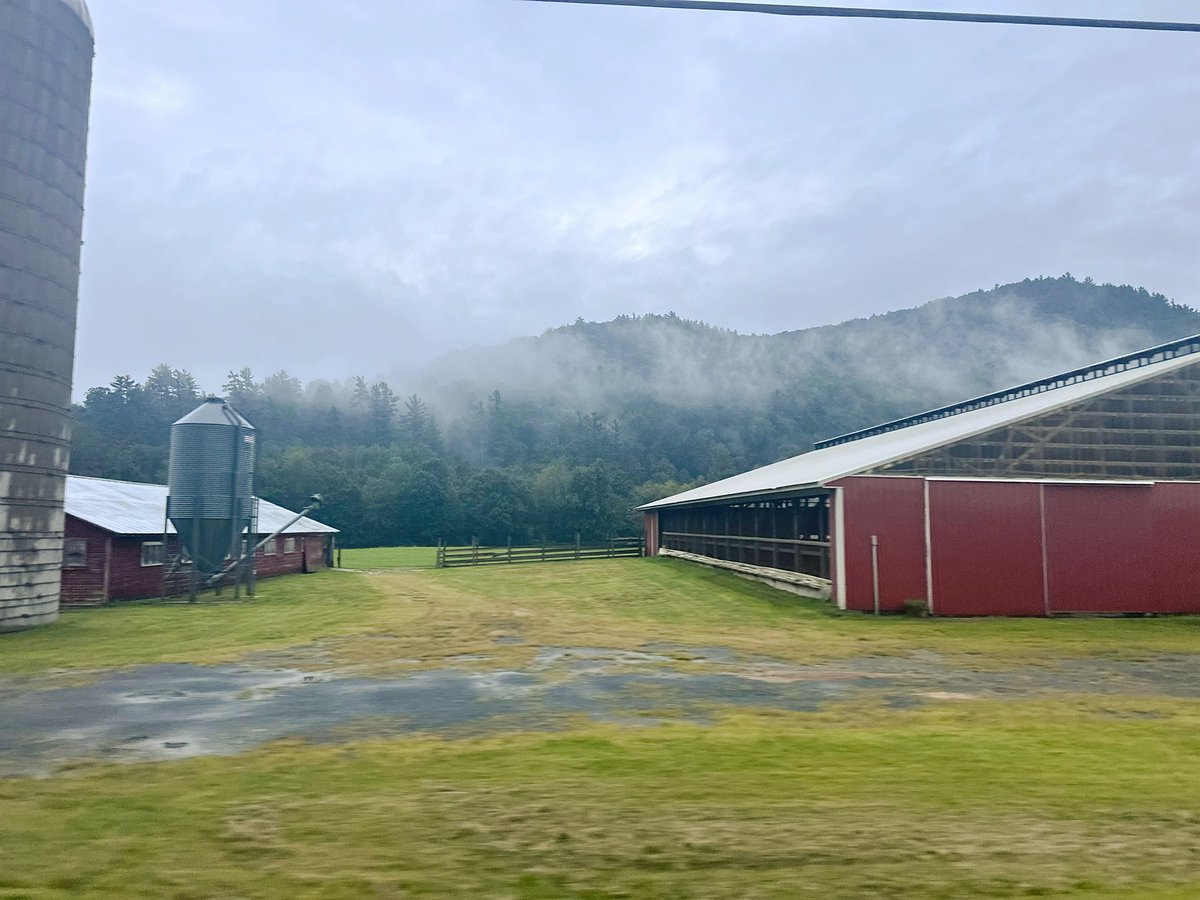 Dr. Stacy Williams🇯🇲🇺🇸🙌🏿🙏🏿 tweet media