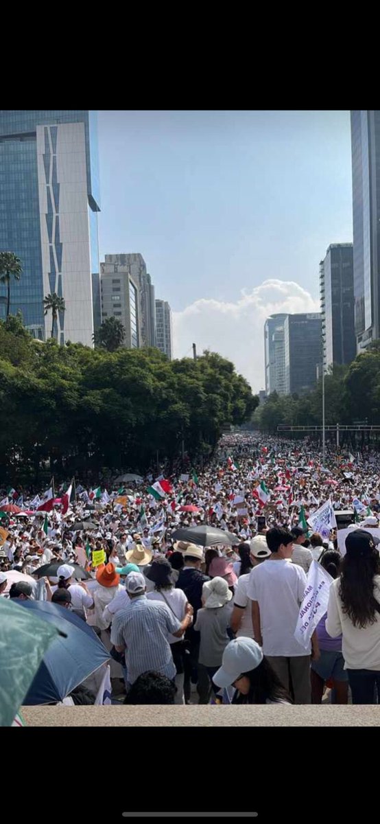 En un momento, nos llegamos a sentir muy solos en el PJF, ahora ya no es así. Muchas gracias a todos los estudiantes, universidades públicas y privadas, barras y colegios de abogados, así como la sociedad civil y a todas las personas que hoy se manifestaron a favor del PJF.