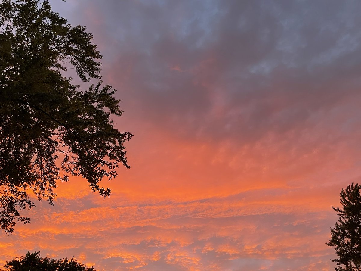 화요일 어깨 수술이 닥터 말을 빌어 퍼펙트하게 끝냈다 ㅎ
통증은 24시간 팔의 마취가 풀리면서 얄미우리만치 아프지만 진통제가 제 역활을 잘 하고 있고.

어려운 순간이 잘 지나고 있음을 그 시간이 지나고 나서야 또한번 깨닫게 된다 - 복이라 하자 😅