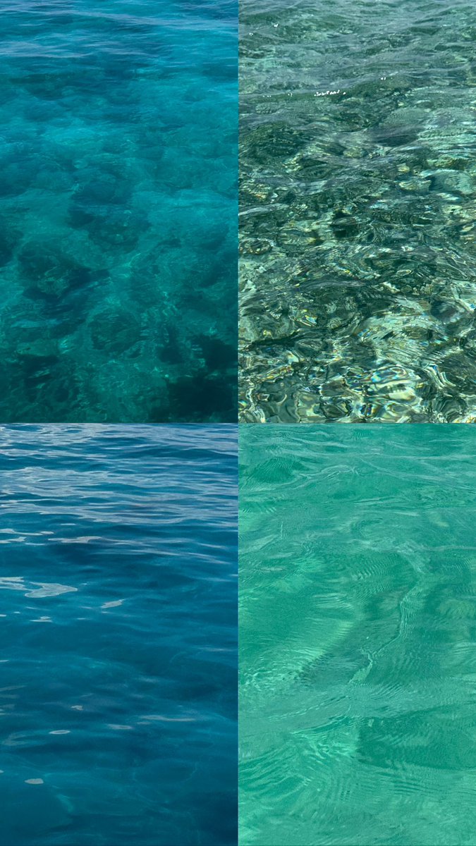 Los colores de Alacranes.