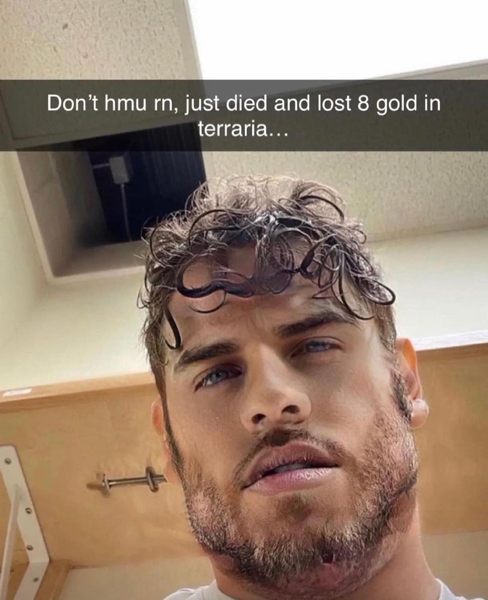 DiamondCookiezz's tweet photo. I thought this meme was perfect for him hehehe
Someone donate some spare terraria gold to this poor man

#IdentityV #identityVイラスト #IdentityVfanart #NortonCampbell #foolsgold #IDV #IdentityVhunter https://t.co/FssCp4IJJ8