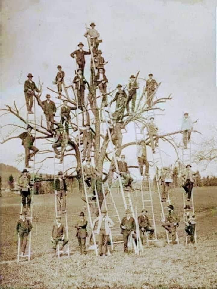 2025_EwaPolka's tweet image. Aby się urodzić, potrzebujemy
2 rodziców
4 dziadków
8 pradziadków
16 pradziadków
32 tetra-dziadków.
64 penta dziadków
128 dziadków neha
256 dziadków hepta
512 okta dziadków
1024 dziadków nona
2048 dziadków deca.
Daje to w sumie 4094 przodków potrzebnych w ostatnich 11…