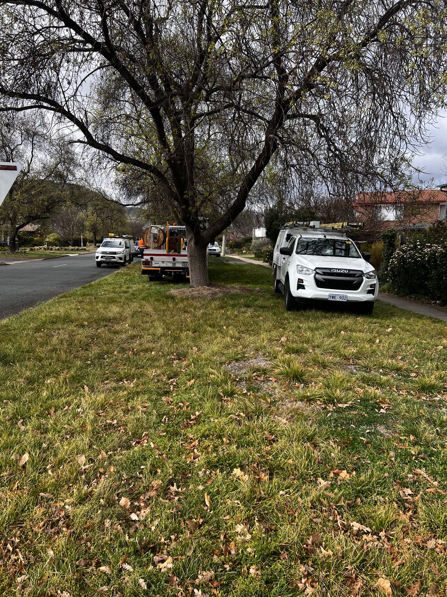 elbaroni's tweet photo. @EvoenergyACT why do I have your trucks parked all over my nature strip? Fair enough if the crane has to be there, but the tyre marks everywhere are completely unnecessary (and parking on a nature strip is illegal). https://t.co/xVpTJ8NnBC