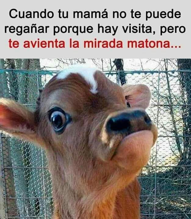 TobiiM9 (@tobiim9) on Twitter photo 