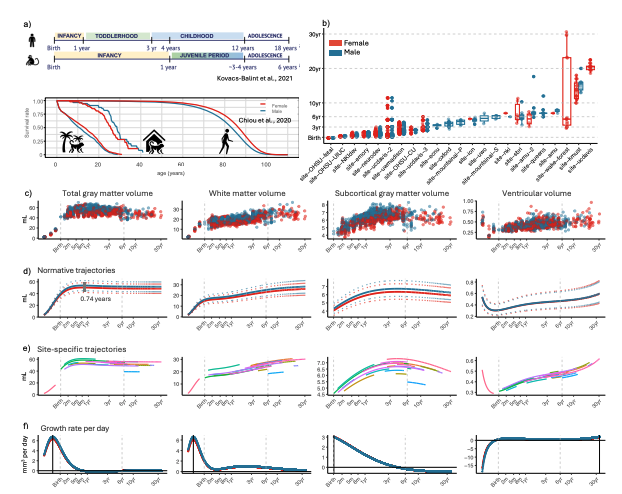 ParkvilleGeek's tweet photo. Brain Charts for the Rhesus Macaque Lifespan | bioRxiv https://t.co/C6FoNSli8x https://t.co/1RT49p9Pit