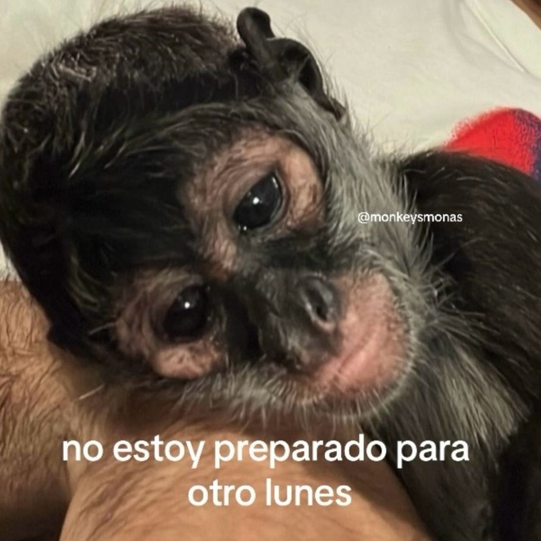 En Júpiter (@en_jupiter_) on Twitter photo 