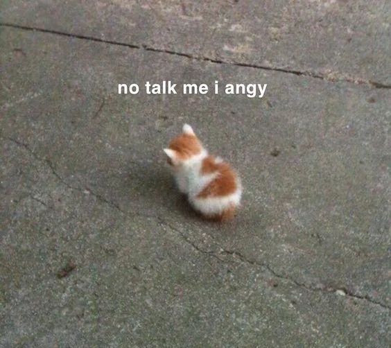 WholesomeMemes (@wholesomememe) on Twitter photo 