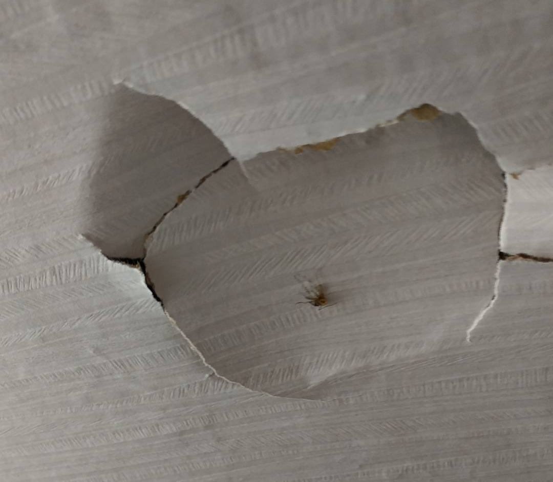 학교 이렇게 만들고싶음