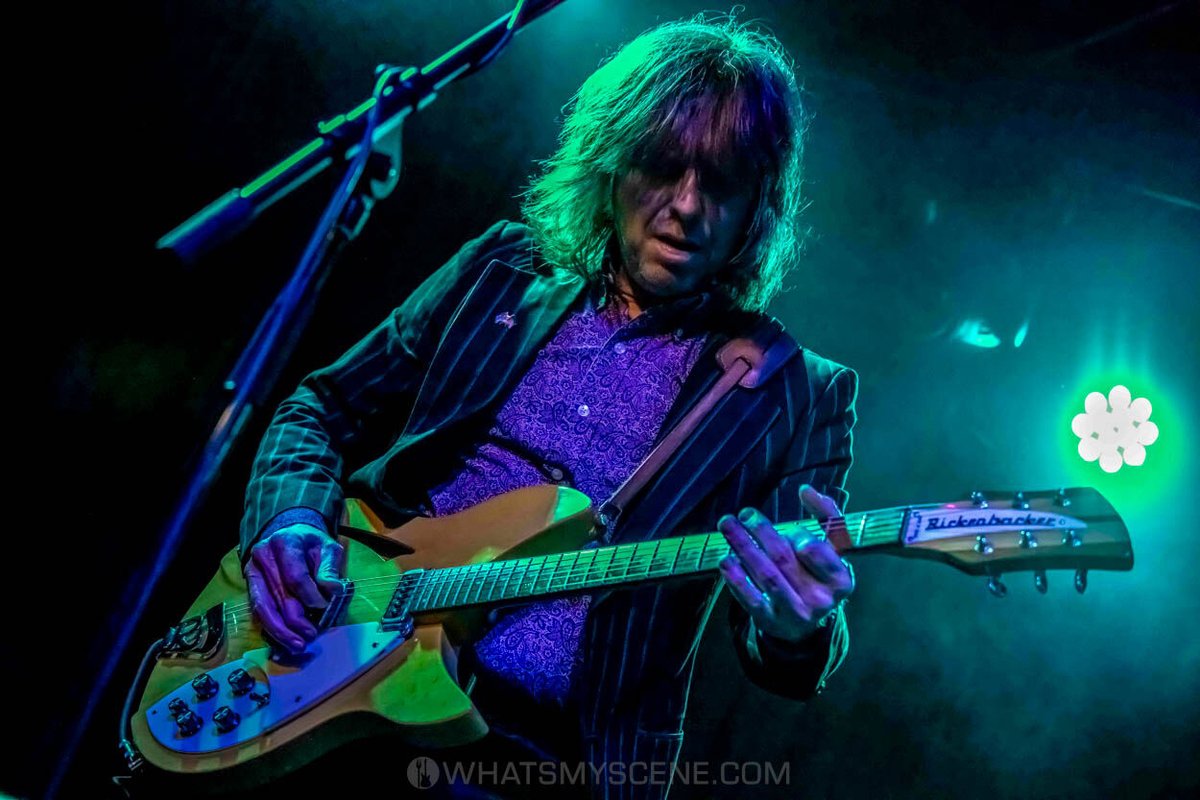 What's My Scene tweet media