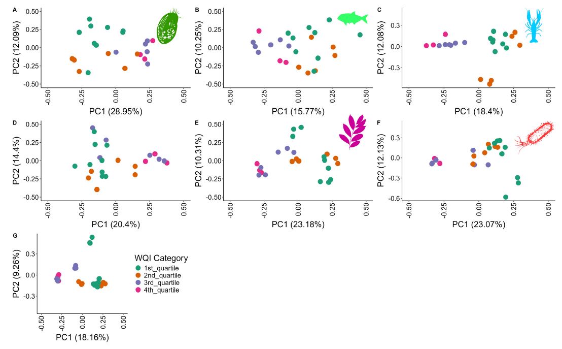 In this study, published in #MarinePollutionBulletin, we compared #eDNA detections in the urbanized Gold Coast Broadwater Estuary to a common water quality index (WQI). Species diversity and composition correlated with lower WQI for some, but not all, taxonomic subgroups.