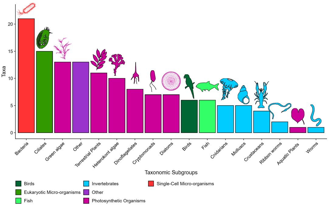Using ToL-metabarcoding, we also added 137 new biodiversity records to the region, mostly microorganisms such as bacteria, ciliates, diatoms, dinoflagellates, and cryptomonads, noting that these may be the result of incomplete historical records for these microscopic organisms.