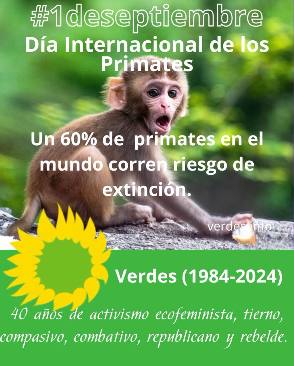 LOS VERDES CANARIAS (@verdescanarias1) on Twitter photo 
