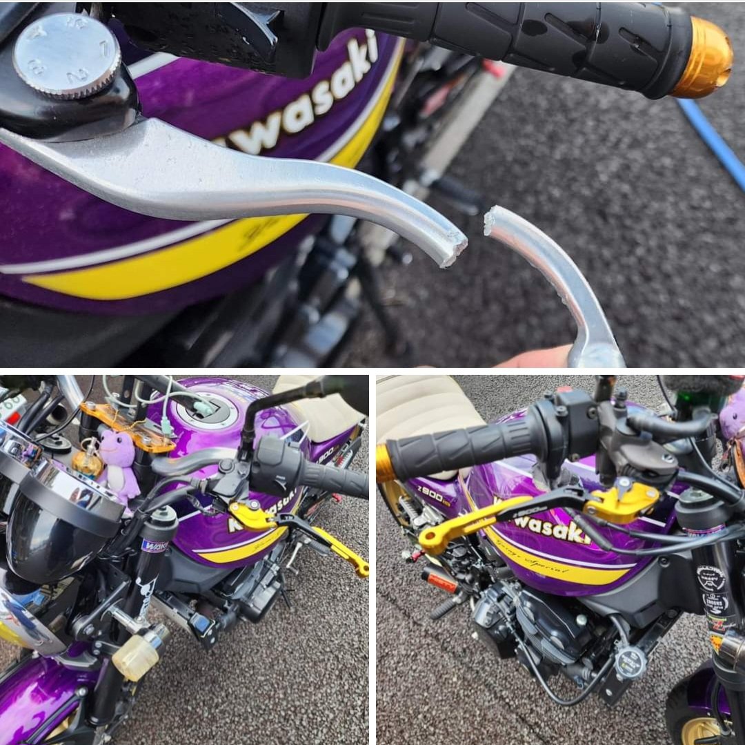 コマちゃん_Official (@Komachann) / Posts / X