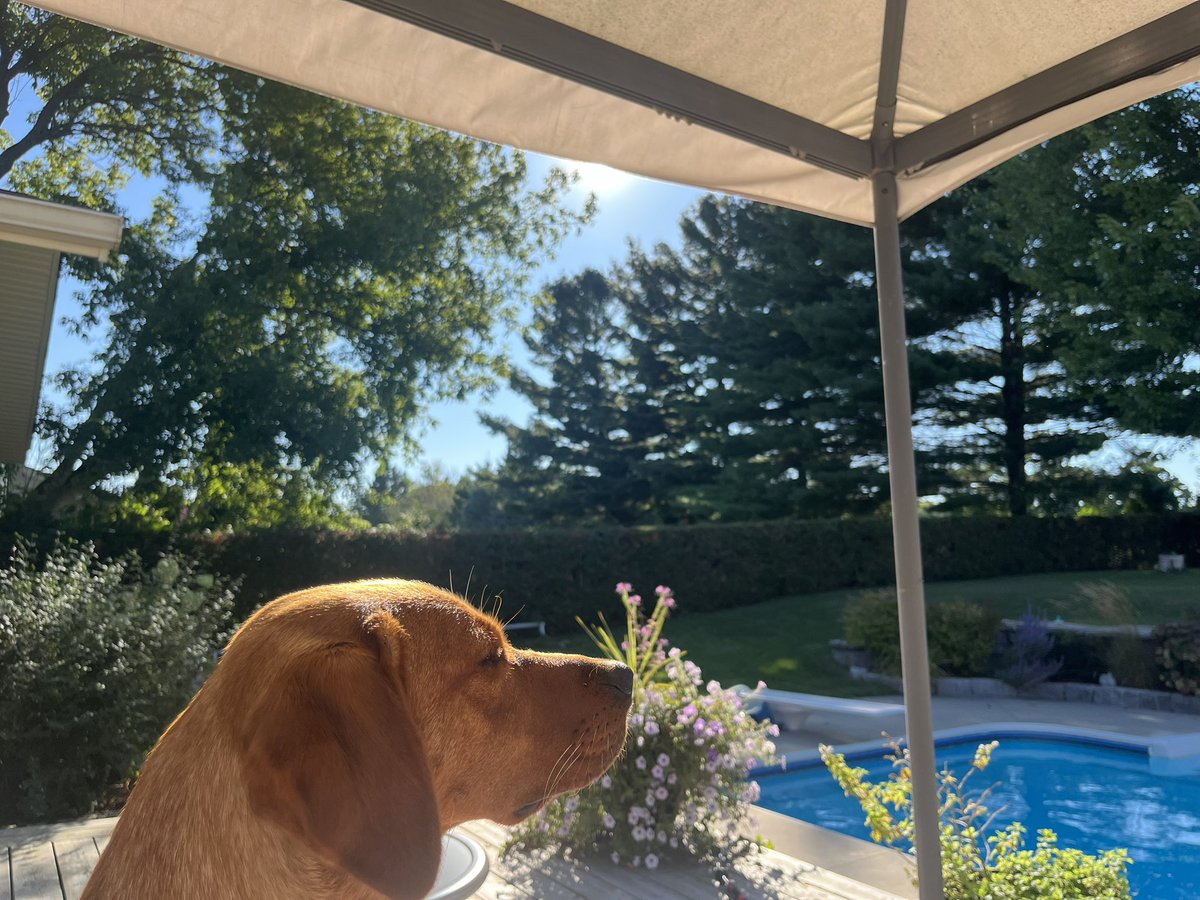 ellacarr_'s tweet photo. Soaking up the last few summer nights https://t.co/GsKeZttR69
