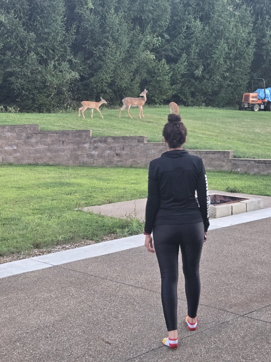 Tell me you live in SMRA without telling me....I'll start.