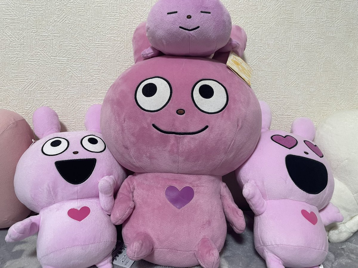 Shion44404's tweet photo. うちのこかわいい https://t.co/P5Gsm0FSsg