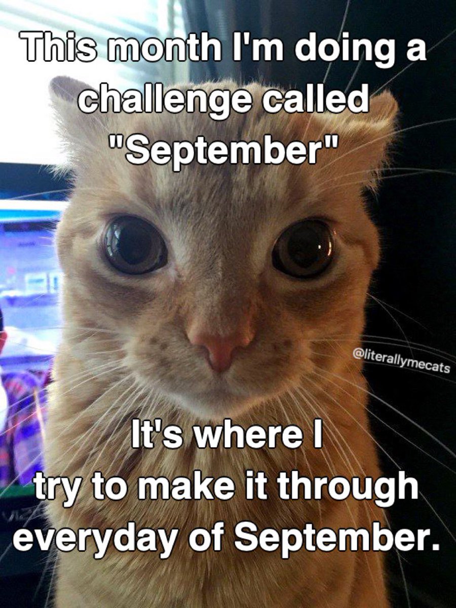 FishFRFX's tweet image. 