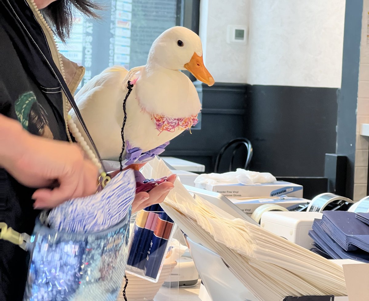 Michelle Kessel tweet media