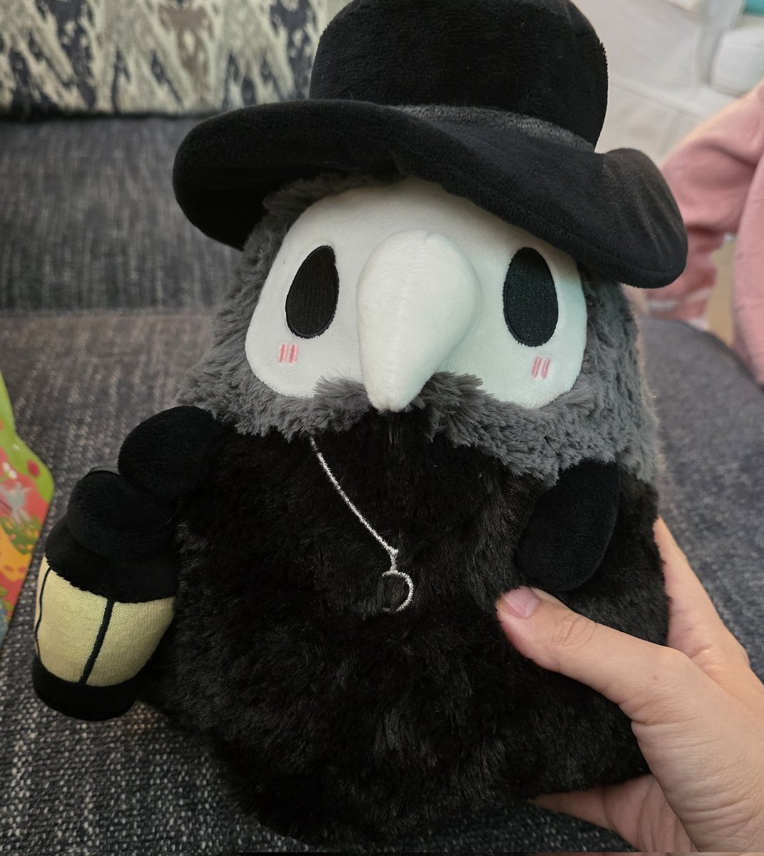 Out of all the cute characters at the Squishables store, my toddler chose to take home the Plague Doctor

idk
