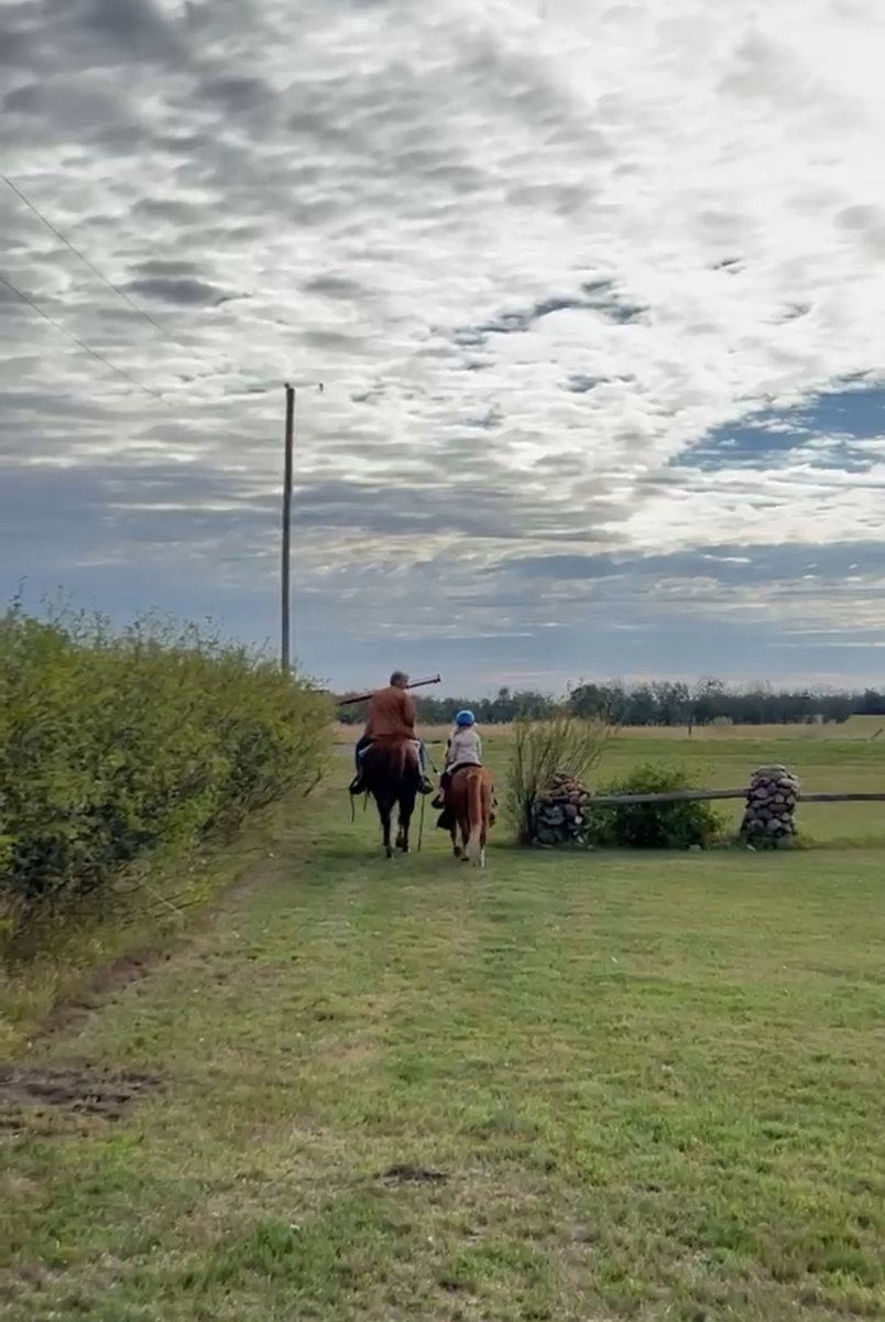 Conversation with 5 yr old granddaughter while horseback riding
“Grandma. I really like the solar system”.  
“Me too!”