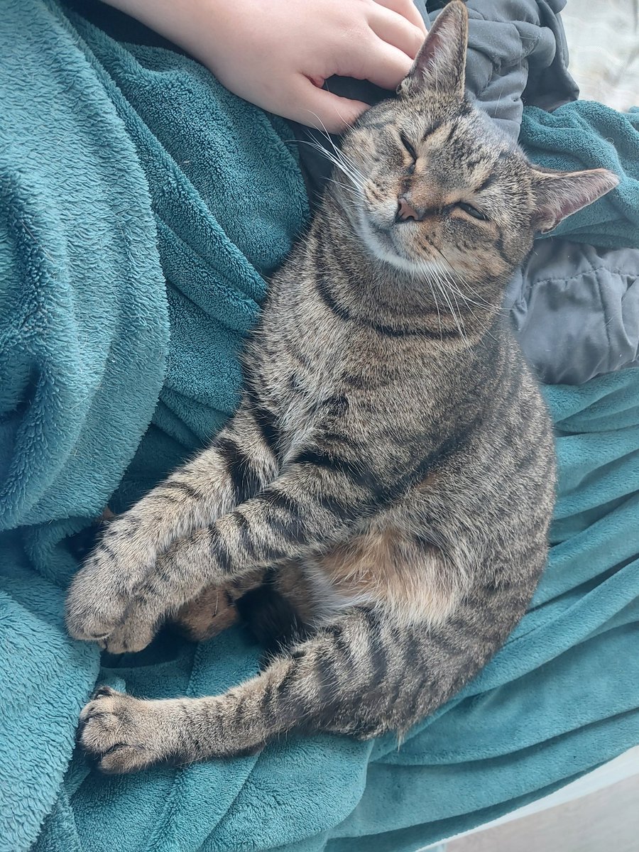 its so hard being such an sleepy guy