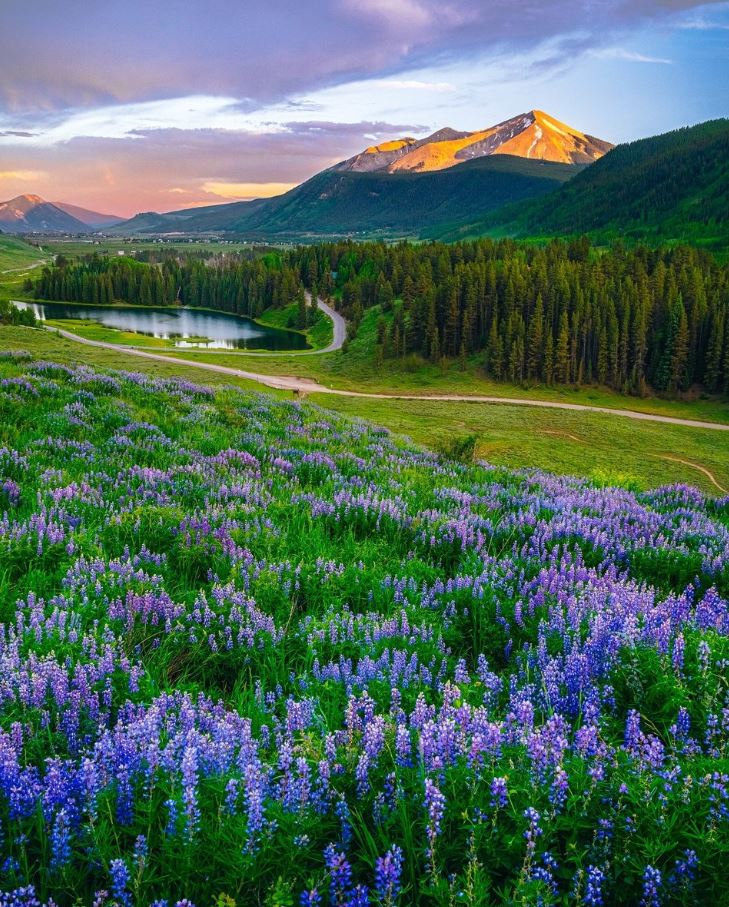gbulgaa's tweet photo. Colorado https://t.co/F3HOYKFUaE