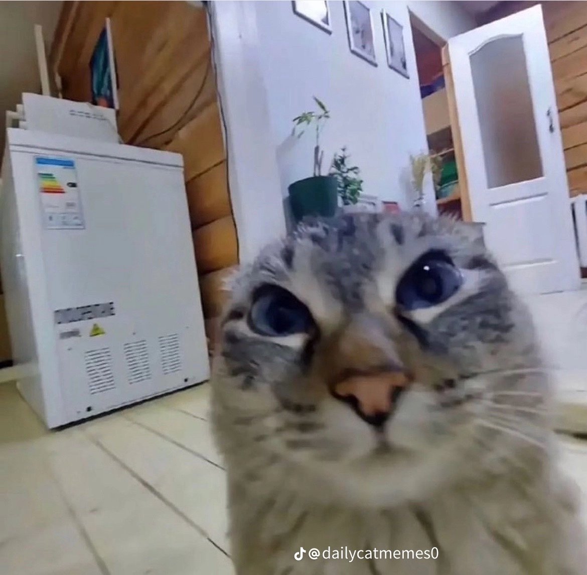 Ascendant tweet media