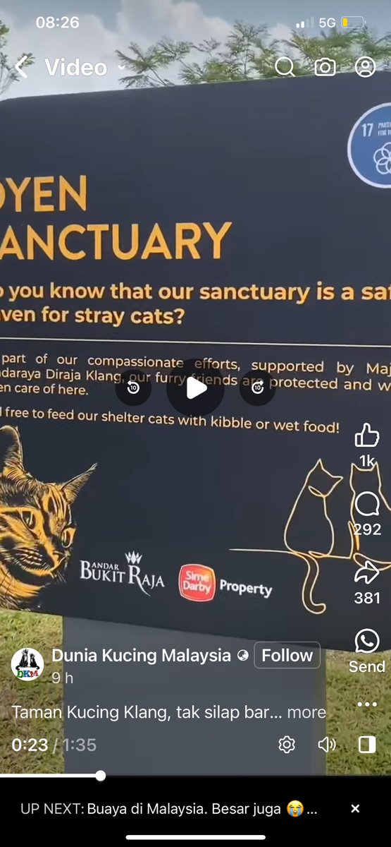 SAVE THESE CATS PLEASE!!! 
Click link to watch the video!   
🤯😡🥵🤬🤬🥵🥵🥵

facebook.com/share/v/jvzxGR…