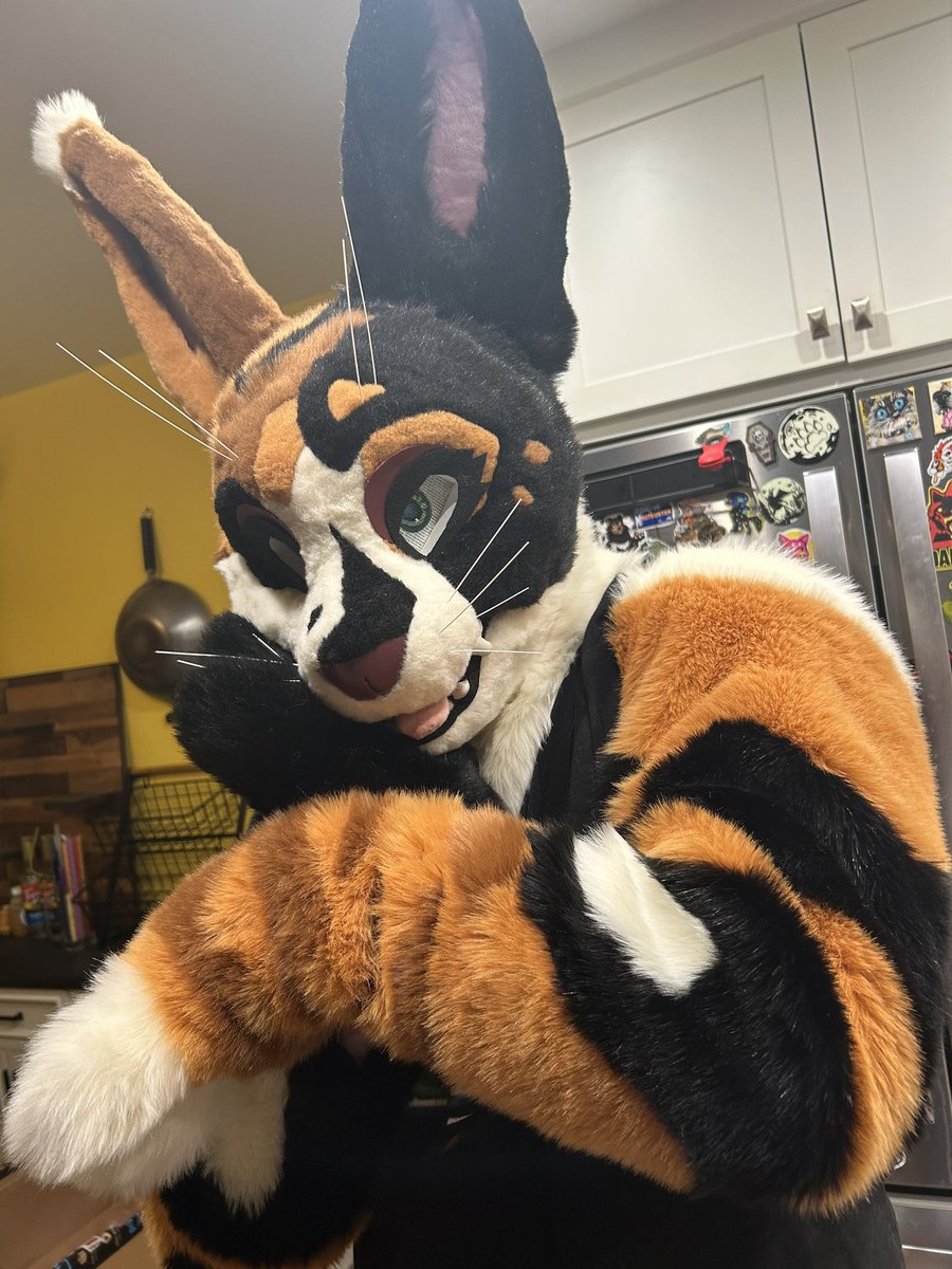 GummyKaiju's tweet image. Now ‘til Sep. 10th, I’m going to be asking 2️⃣8️⃣7️⃣5️⃣ for the cabbit partial! Comes with Head, Tail, Paws and sleeves!

I’m so close to being able to fund my top surgery and would be willing to let this new suit go at my lowest asking price

DM to inquire!