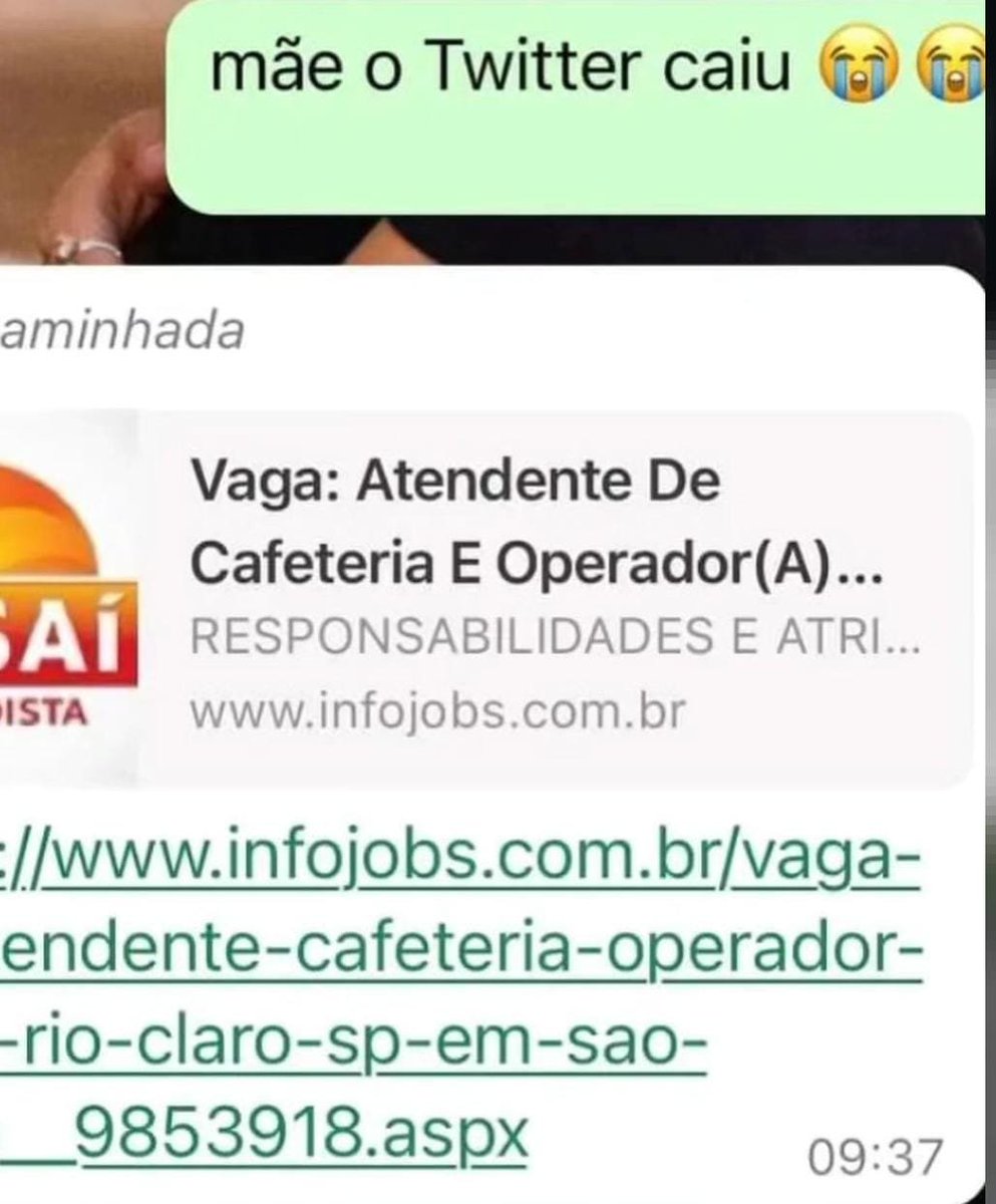 senshi_real's tweet image. minha mae nao reagiu bem ao banimento do twitter