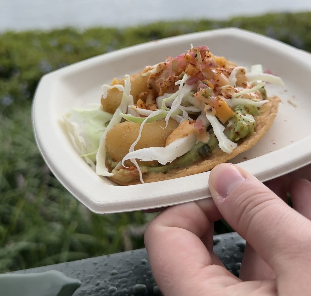 Epcot’s International Food and Wine Festival is always great. Really enjoying the dishes this year. #Epcot #Food #foodie