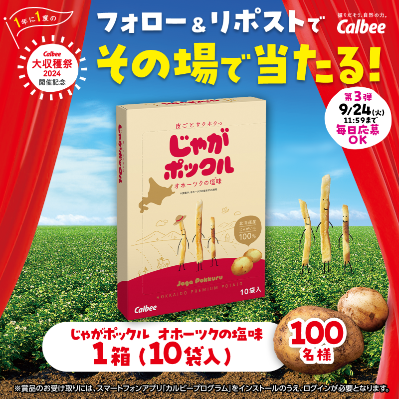 calbee_PR's tweet photo. ＼✨その場で当たる✨／
🎉#カルビー大収穫祭2024🎉
4週連続！総勢4⃣0⃣0⃣名様にプレゼント🎁

◤第❸弾は・・・
🥔じゃがポックルが当たる🥔◢

✅本アカウントをフォロー
✅対象投稿をリポスト　※本投稿は対象外
✅毎日参加OK！
▼画像をタップして対象投稿をCHECK