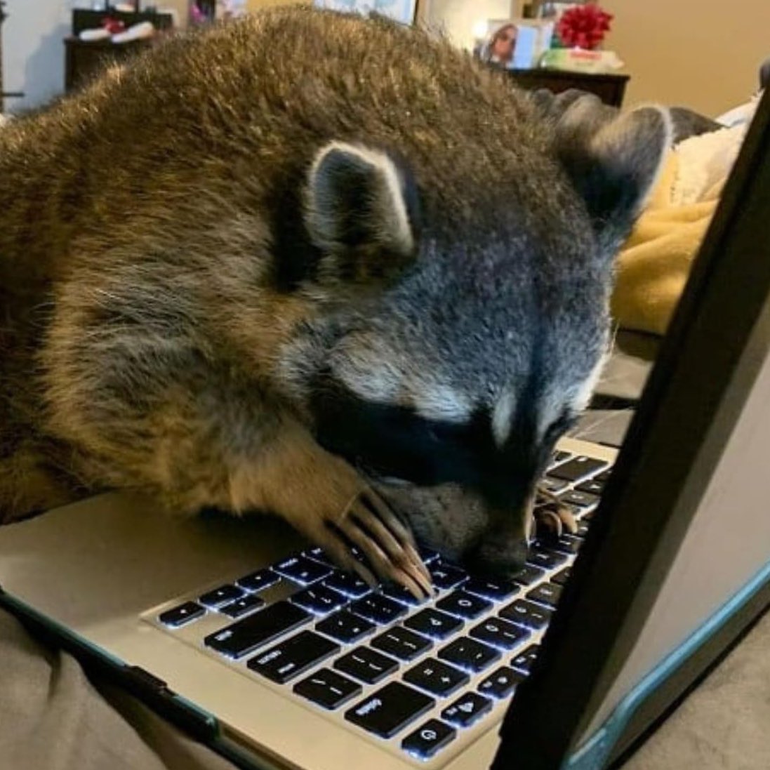 This is what I look like when I tweet.