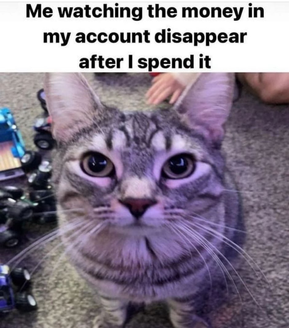 PunchingCat's tweet photo. https://t.co/MNZLPsXyxY