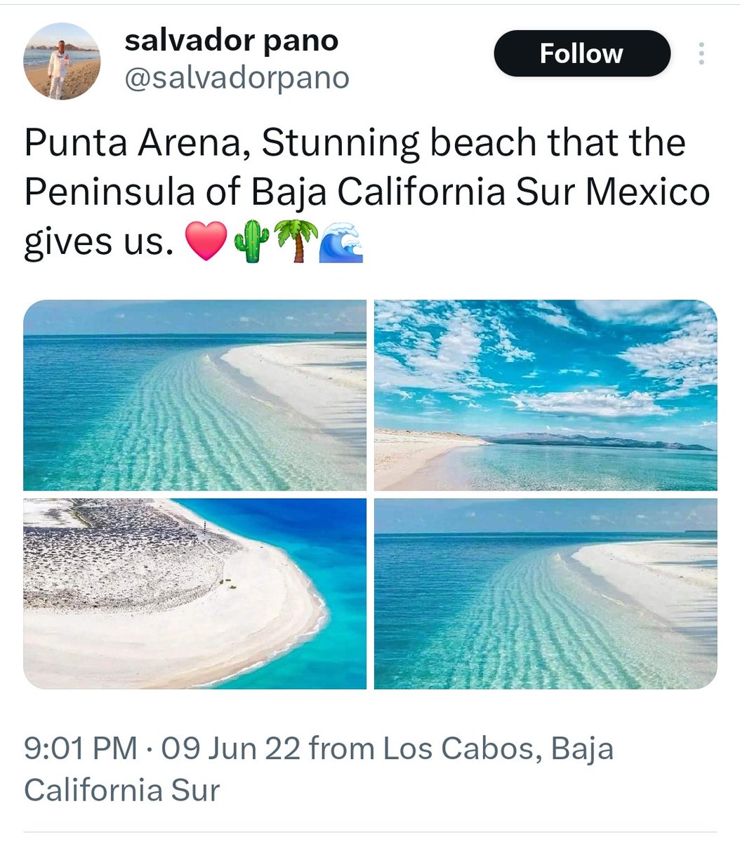 Florida Expert tweet media