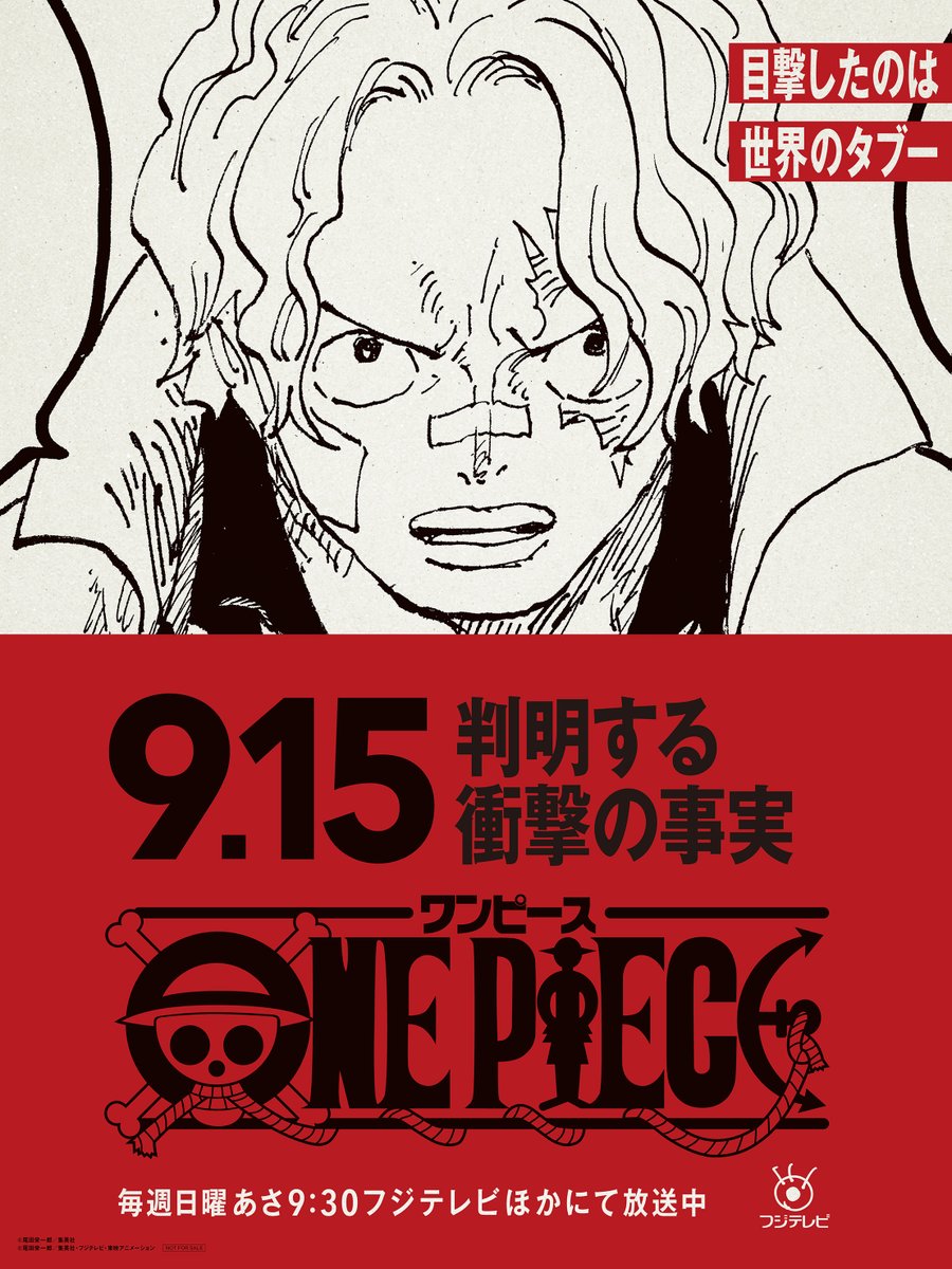 ONE PIECE アニメ ワンピース 低め 超展開 コブラ B2ポスター ONE PIECE アニメ ワンピース 低め 超展開 コブラ B2ポスター