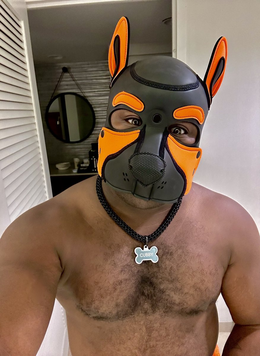 thisiscubby's tweet image. bark bark.

#telegram #gear #pup #sportypup #orlandopup #lgbt #leash #jockstrap #bearcub  #gay #gaypup #fetish #kink  #puphood #humanpup #gaypuppy #gogoboy #gogopup #musclepup #gaynsfw #floridapup  #pupplay #gaymer  #orlandopup #gaycub #gaymuscle #nerdypup #abdl