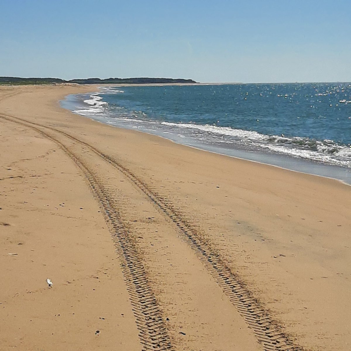 <a href="/DogPagoda/">The Kids Are Not Alright</a> <a href="/ConceptualJames/">James Lindsay, anti-Communist</a> Norton Point, Edgartown, MA looking at Chappaquiddick Island, August 2024.