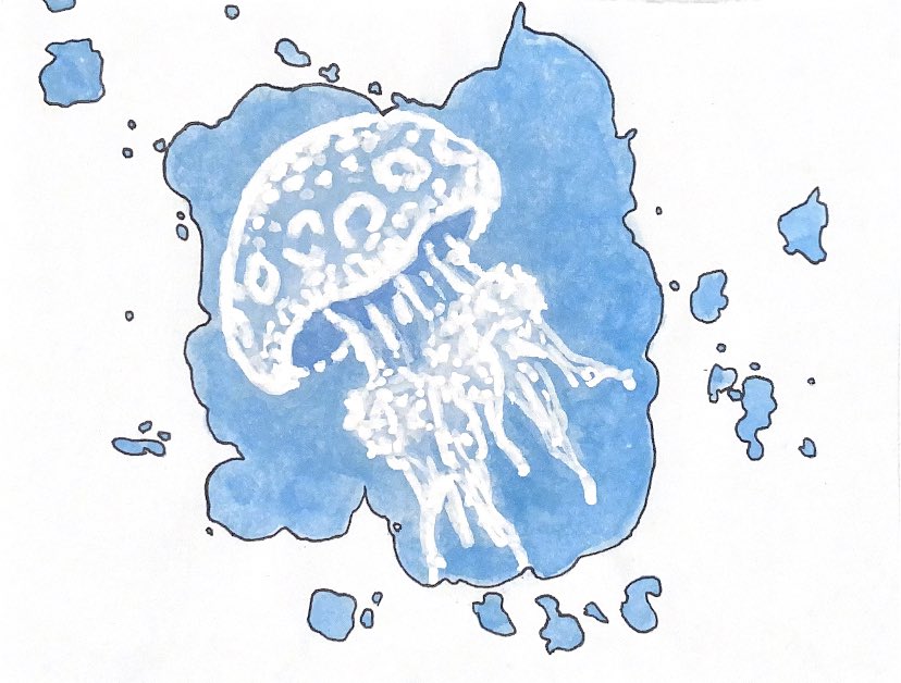 NGSW3127's tweet photo. タコクラゲ https://t.co/X05vHS7oPb