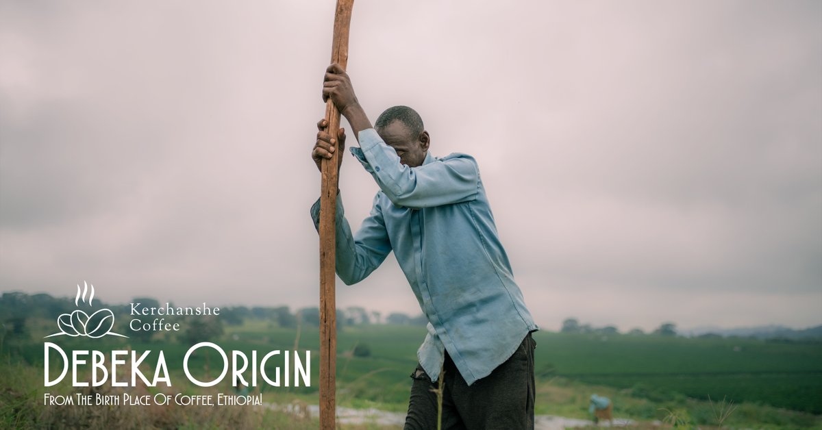 kerchanshe's tweet photo. Every bean begins with a dream. π±β¨
Join us as we honor the hands and hearts behind our coffee at Debeka Farm, where dedication turns seedlings into a symphony of flavors.
#KerchansheCoffee #DebekaFarm #CoffeeJourney https://t.co/Af71Bmpxt0