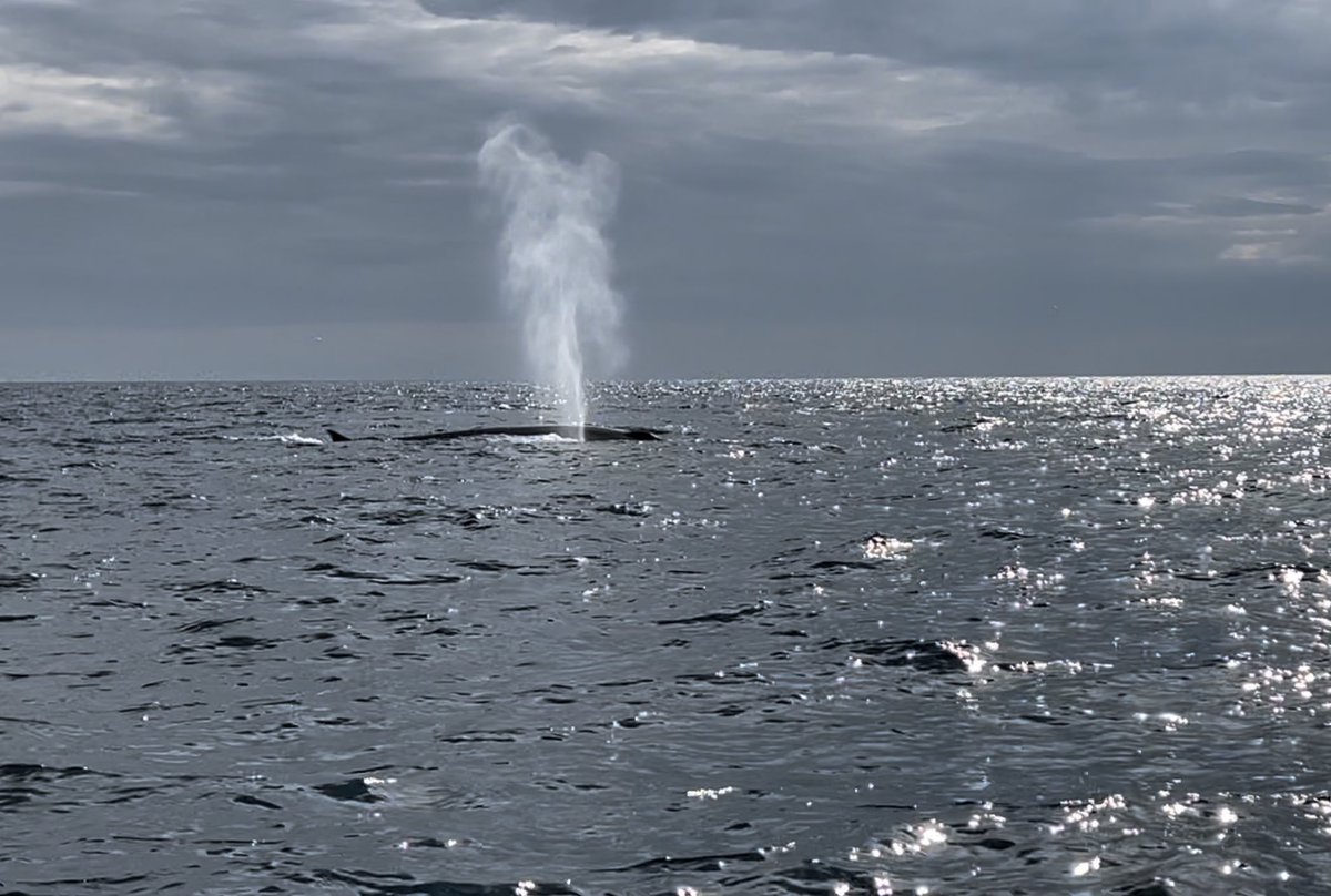 Immerse Hebrides tweet media