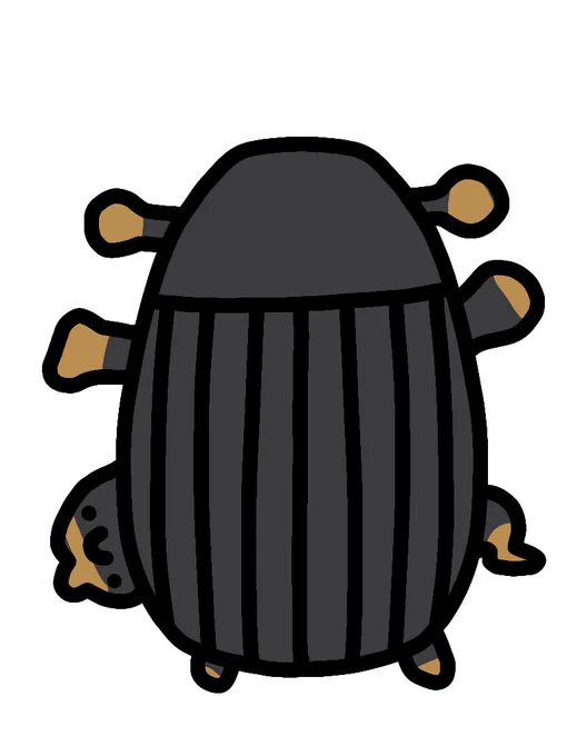 ハンノカバイロキクイムシ 