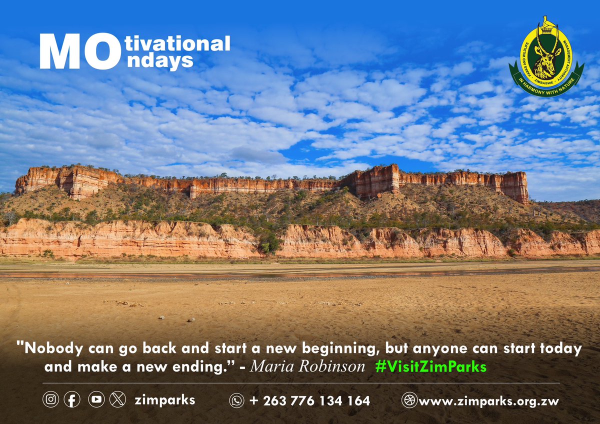 Zimparks tweet media