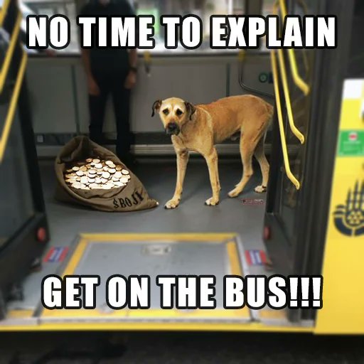Hurry up! You will learn the details later