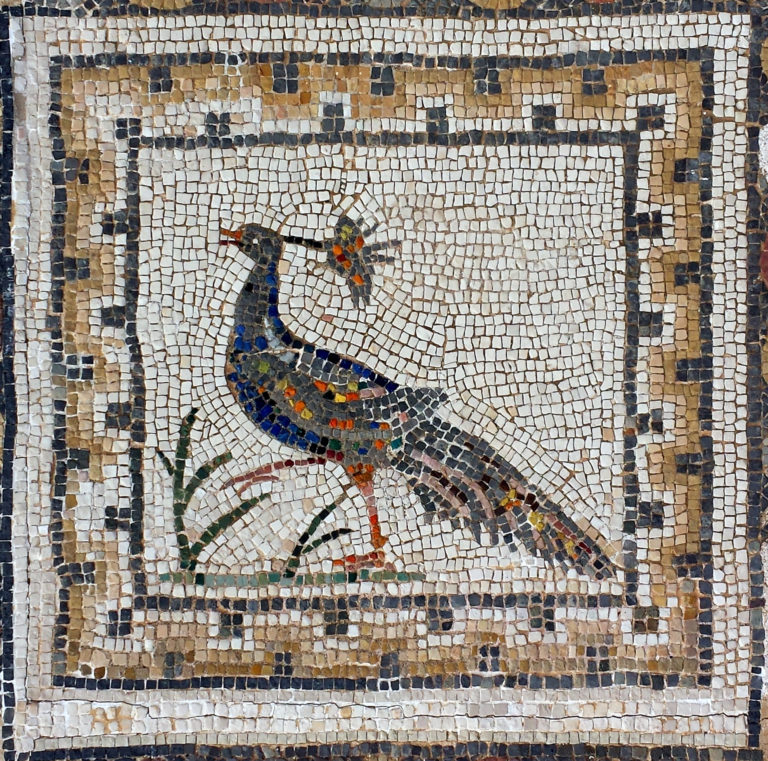 HawkeJon's tweet image. The House of the #Birds was the first house totally excavated from  #Italica. This villa has a number of gorgeous #mosaics of excellent quality. The most #beautiful one consists of 35 small square mosaics representing different species of birds
#MosaicMonday #History #Art