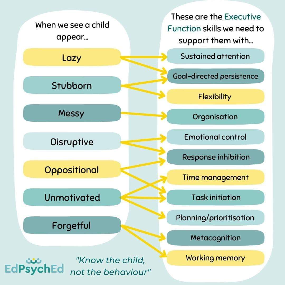 gerrydiamond71's tweet image. Look beneath the surface. Reframing trauma symptoms as survival modes and regulation challenges. Having a more brainaware perspective helps you understand that something has happened that has influenced their brain.🧠🌱