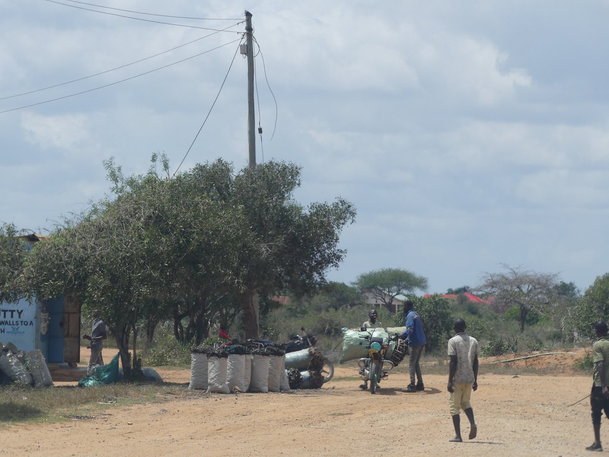 PhotosForTrees's tweet image. #MombasaRoad sights