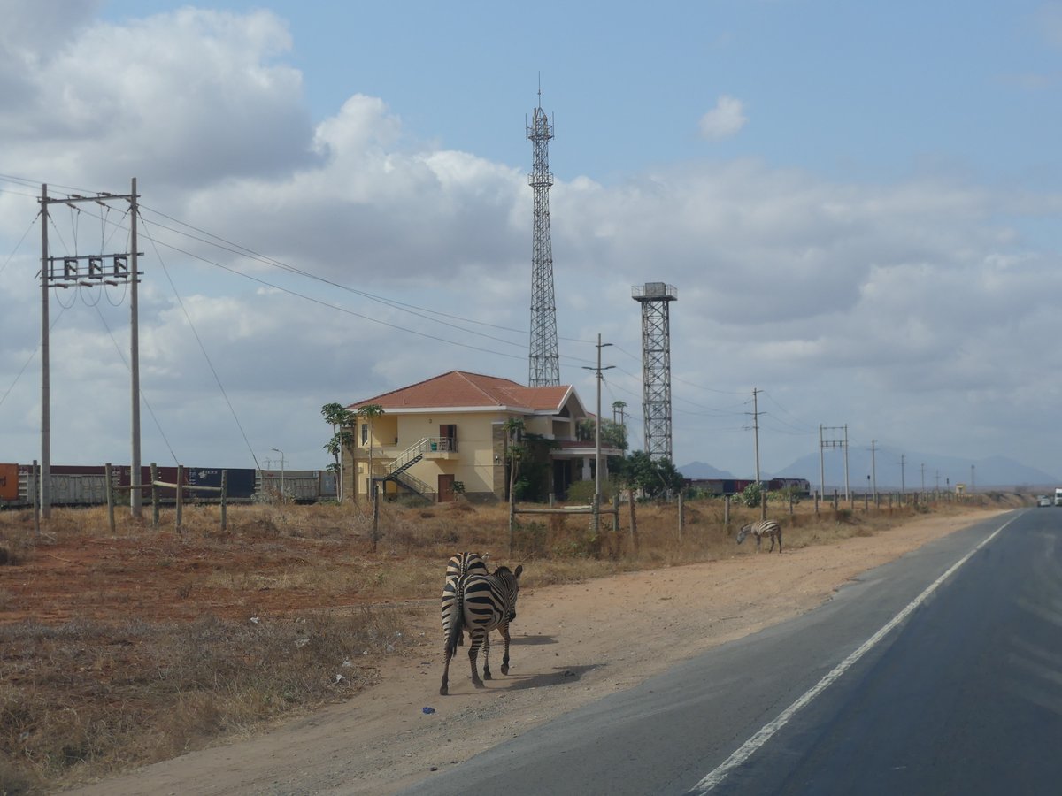 PhotosForTrees's tweet image. #MombasaRoad sights