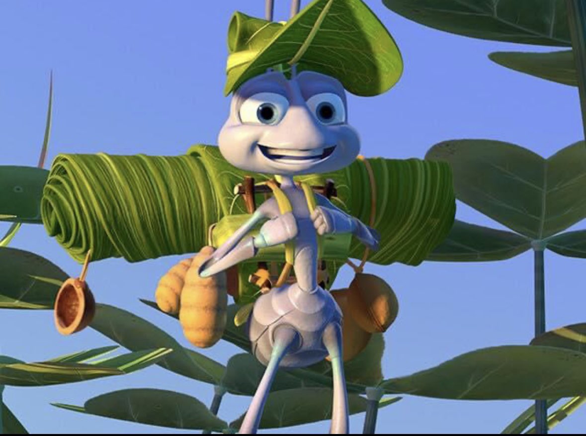 Sophie Robinson tweet media