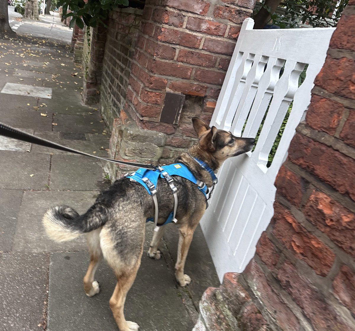 Rory Cellan-Jones tweet media